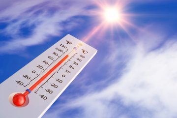 caldo