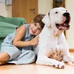 Educazione cani taglia grande: ecco alcuni consigli da seguire