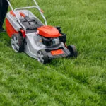 Il futuro della manutenzione del prato: il ruolo dei robot tagliaerba