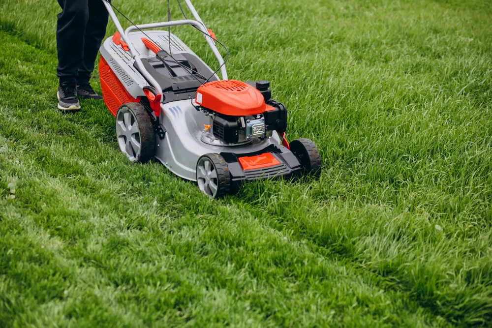 Il futuro della manutenzione del prato: il ruolo dei robot tagliaerba