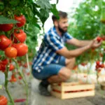 Avviare un’attività agricola: gli strumenti di cui non si può fare a meno