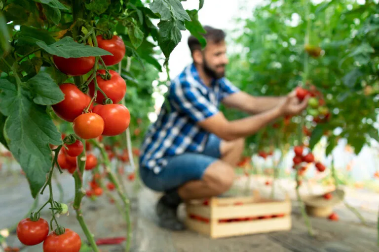 Avviare un’attività agricola: gli strumenti di cui non si può fare a meno