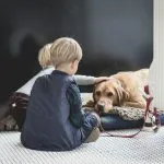 Le cinque razze di cane più adatte a stare con i bambini