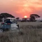 Cinque motivi per cui vale la pena fare un safari